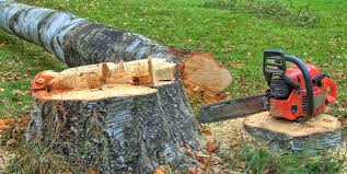 Best Tree Mulching  in Brookdale, CA
