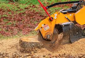Best Root Management and Removal  in Brookdale, CA
