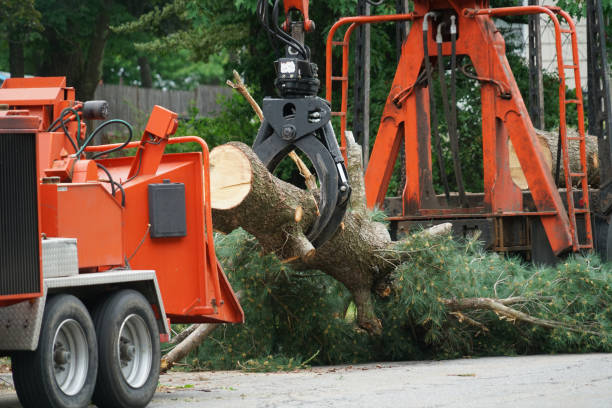 Best Pest Control for Lawns  in Brookdale, CA