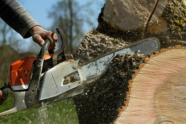 Best Aeration Services  in Brookdale, CA